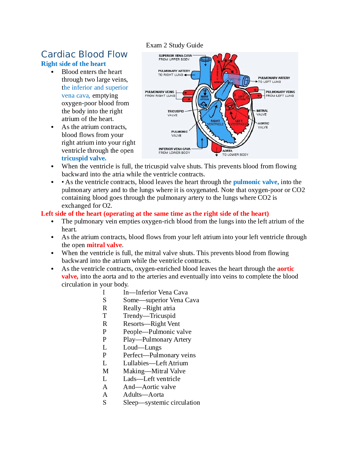 Preview image for NUR 3465 Exam 2 Study Guide Cardiac Blood Flow